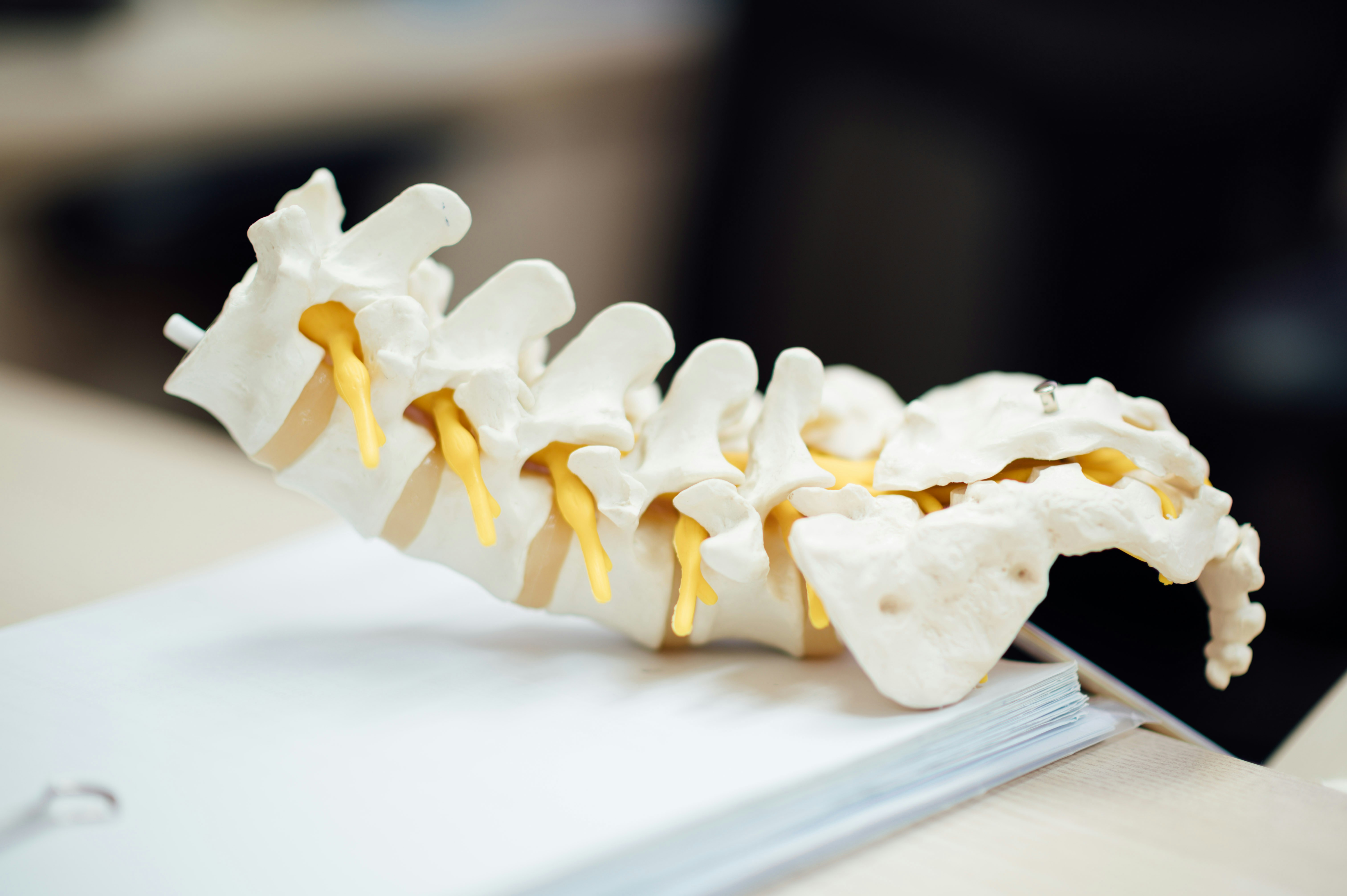 Illustration of a healthy spine